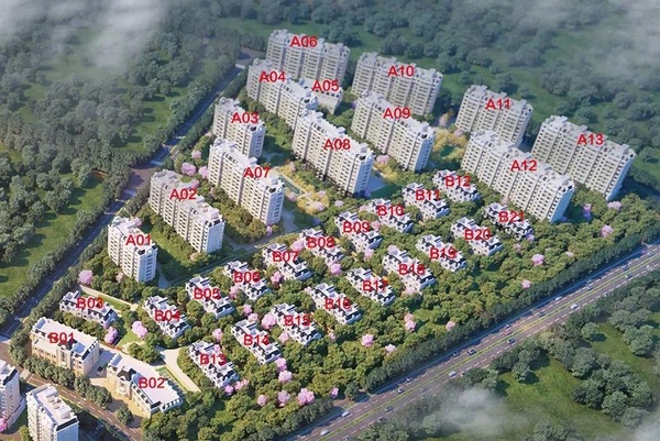 仙林東郡最新資訊，探索自然美景，尋覓內(nèi)心平和之旅