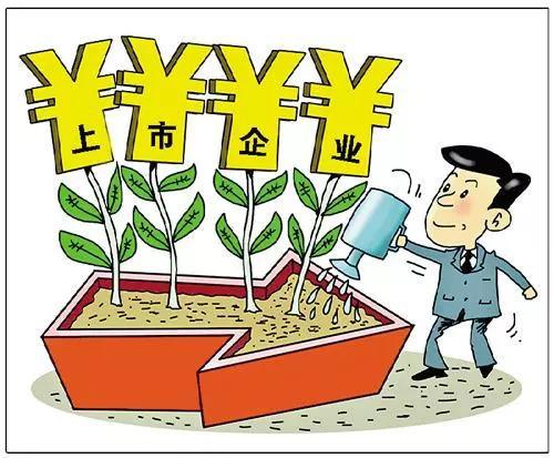 加快企業(yè)上市,加快企業(yè)上市，策略與洞察