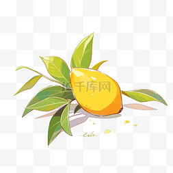 芒果動(dòng)漫圖片制作指南，從初學(xué)者到進(jìn)階用戶的必備手冊(cè)