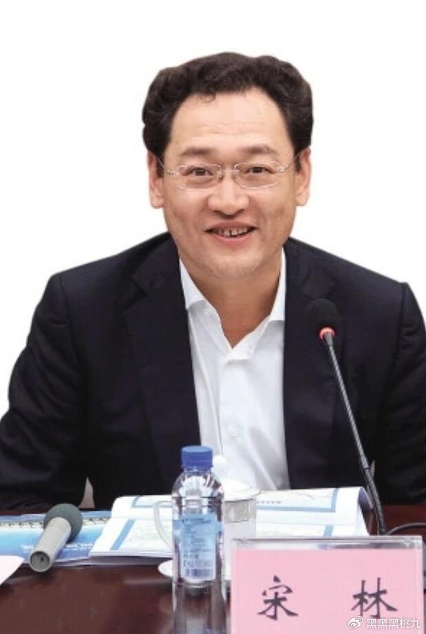 華潤宋林最新動態(tài)，學(xué)習(xí)成就自信與力量，展現(xiàn)變革中的領(lǐng)導(dǎo)力