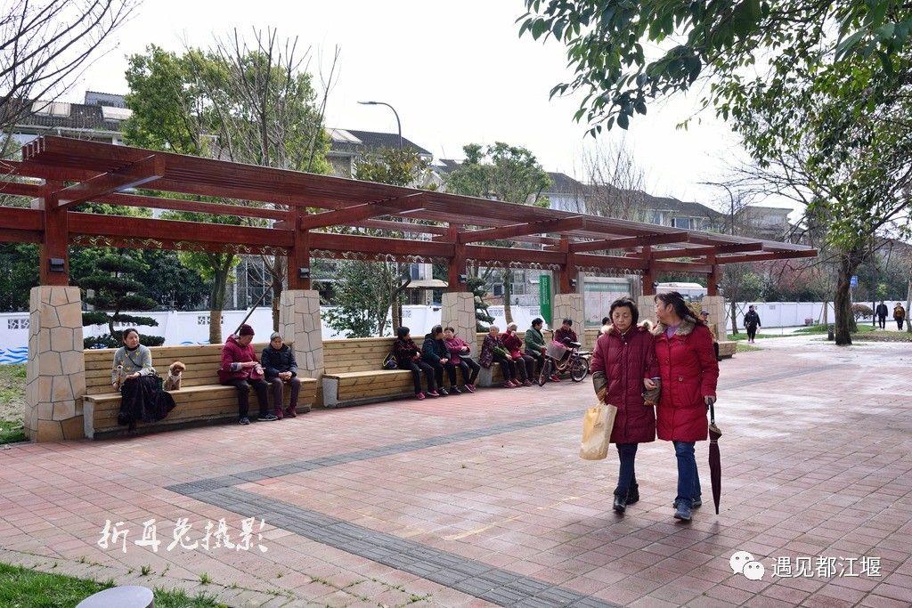 柏條河最新論述綜述