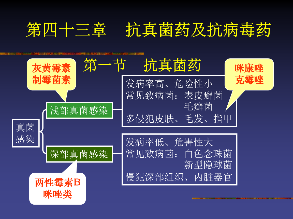 最新抗真菌藥物探索，自然美景之旅與內(nèi)心平和寧靜的探尋