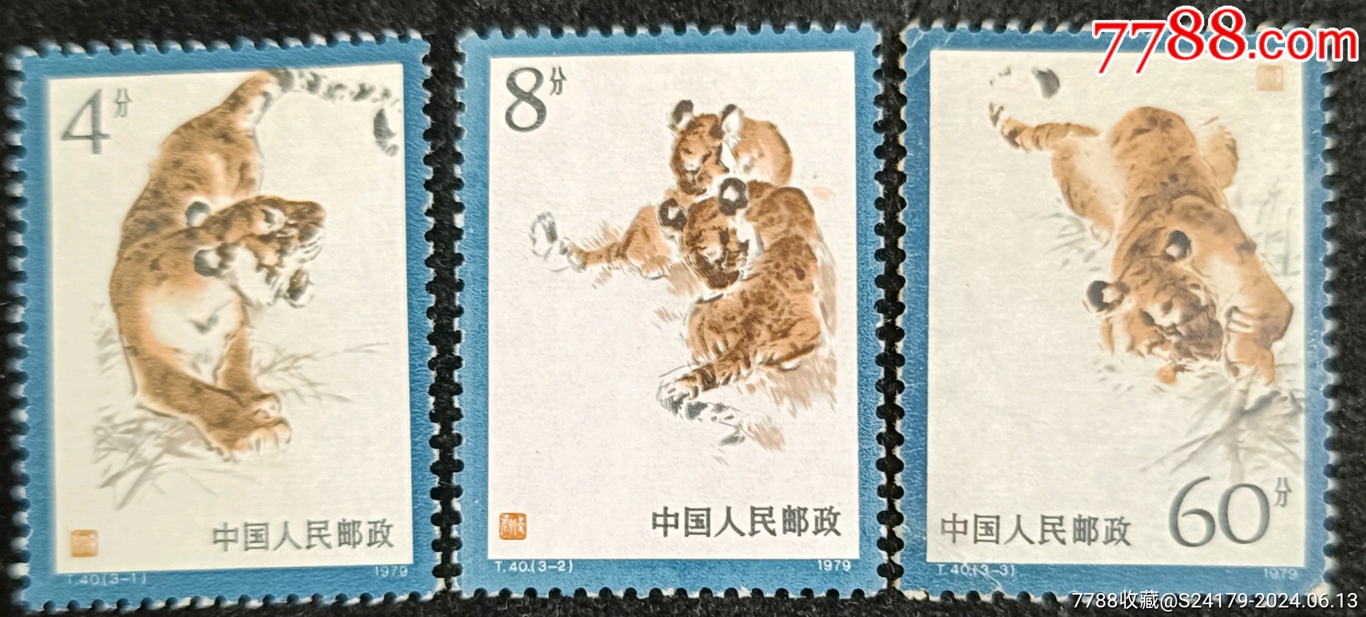 虎票最新價(jià)格,虎票最新價(jià)格，市場(chǎng)走勢(shì)下的多元觀點(diǎn)