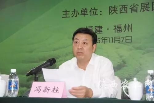 馮新柱副省長聚焦發(fā)展，推動地方繁榮的最新動態(tài)