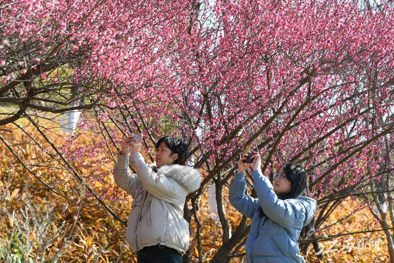 江西上猶新聞最新新聞,江西上猶新聞最新新聞，探索自然美景的旅行，尋找內(nèi)心的平和之地