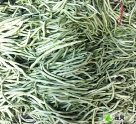 今日四季豆價(jià)格更新，小巷深處的豆香奇緣