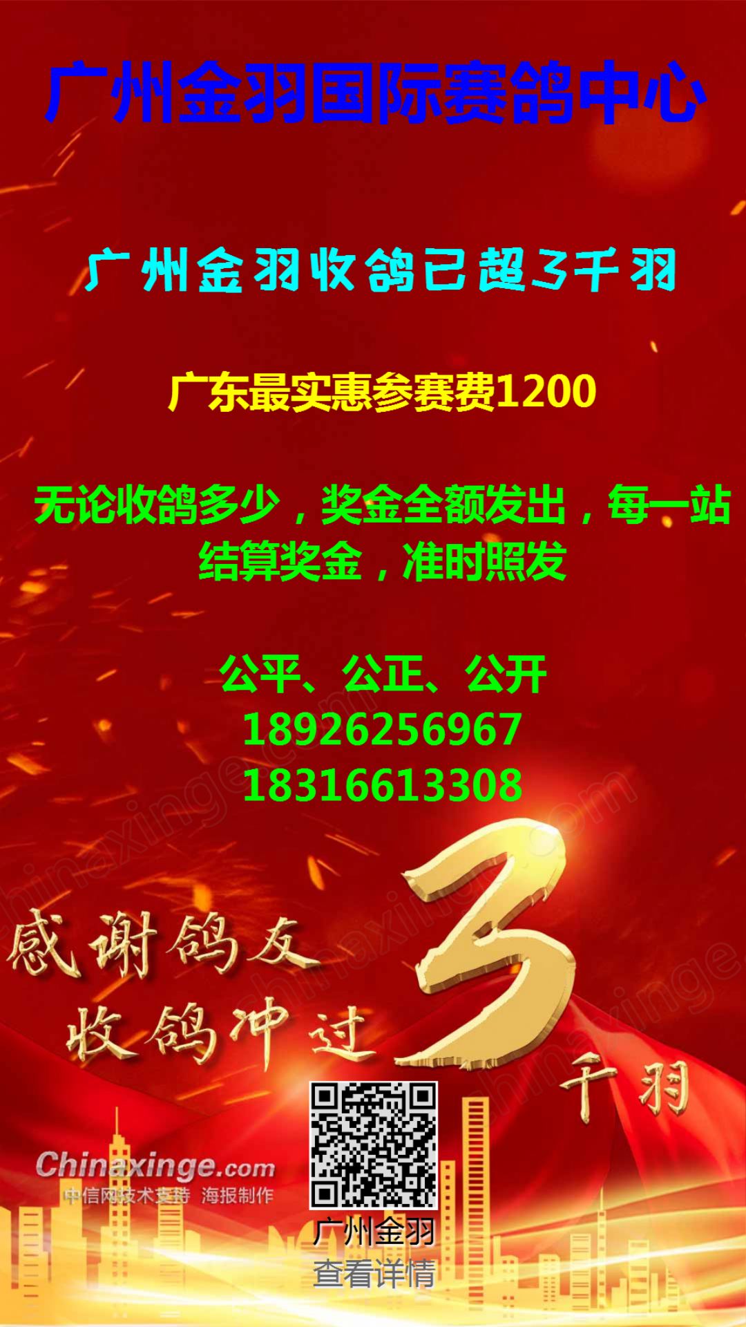 金亞賽鴿中心最新動(dòng)態(tài)，自然美景探索之旅，尋求內(nèi)心平和與寧靜的旅程