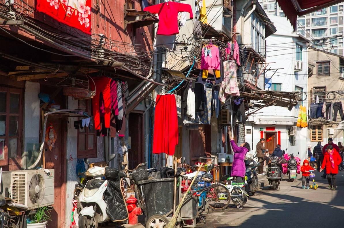 董家渡動(dòng)遷居民群，自然美景探索之旅開(kāi)啟