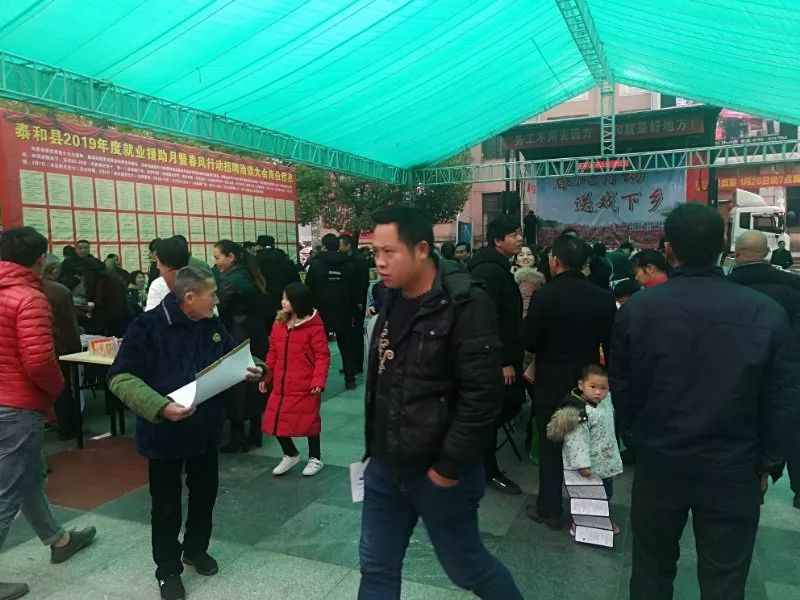 泰和最新招聘信息揭秘，全新崗位等你來挑戰(zhàn)！