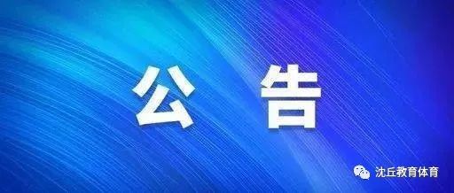 沈丘招聘網(wǎng)最新招聘信息，小巷深處的職業(yè)機(jī)遇探索