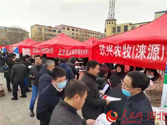 淶源縣招聘網(wǎng)最新招聘信息，探尋職業(yè)發(fā)展熱門機會