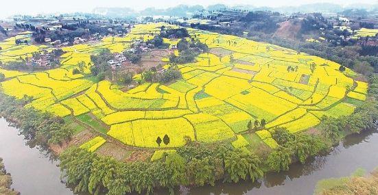 仁壽龍馬規(guī)劃最新動(dòng)態(tài)及步驟指南揭秘