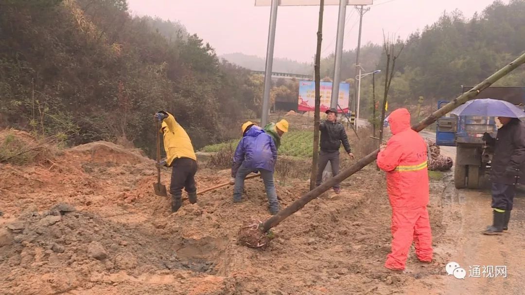 通山包砣網(wǎng)最新新聞，擁抱自然，探尋桃花源之旅