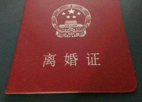 香港人開單身證明最新流程揭秘，小巷特色小店里的故事