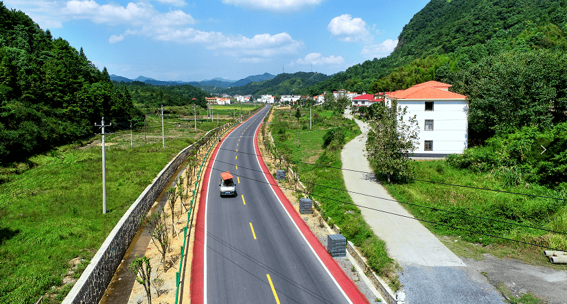 楊宣公路，溫情故事與一生情誼的交織之路最新消息揭秘