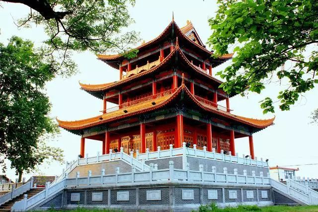 南京藏友閣最新動(dòng)態(tài)，友情與寶藏的溫馨日常
